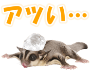 877338368