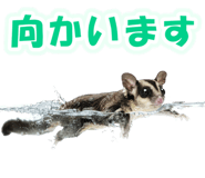 877338377