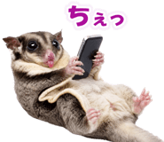 877338381