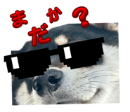 877343044