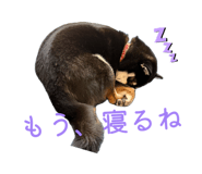 877343046