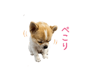 877343301