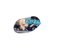 877348078