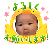 877349904