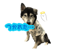 877349923
