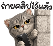 877352922