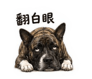 877367695