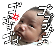 877429016