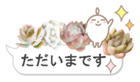 87743391