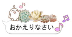 87743392