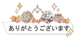 87743398