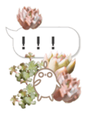 87743409