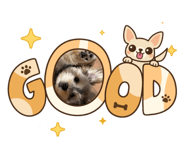 877435126