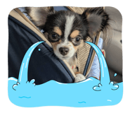 877439135