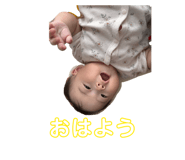 877440801