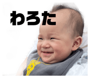 877443597