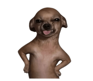 877446922
