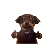 877446924