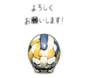 877454808