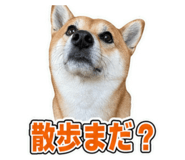 877472127