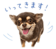 877473116