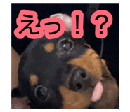 877484914