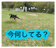 877484935