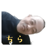 877486445