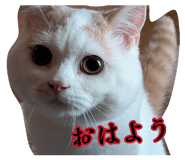 877500001