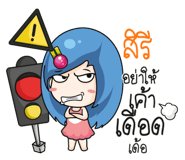 877504213