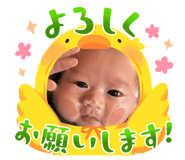 877515056
