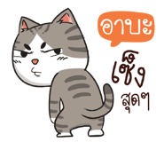 877516548