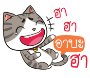877516576
