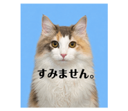 877518840