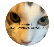 877518846