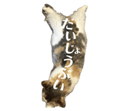 877518849