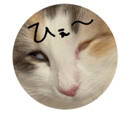 877518863