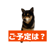 877538417