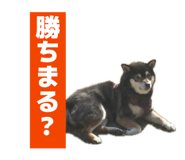 877538419
