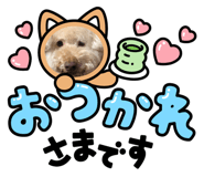 877539013