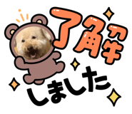 877539014