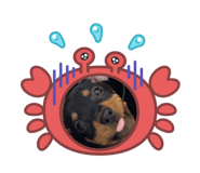 877539278