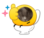 877541645