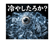 877544403