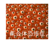 877544408