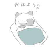 877544666