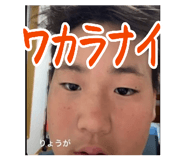 877545377