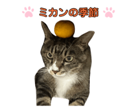 877546408