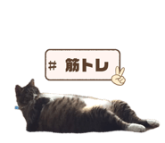 877546424