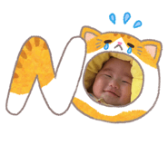 877550958
